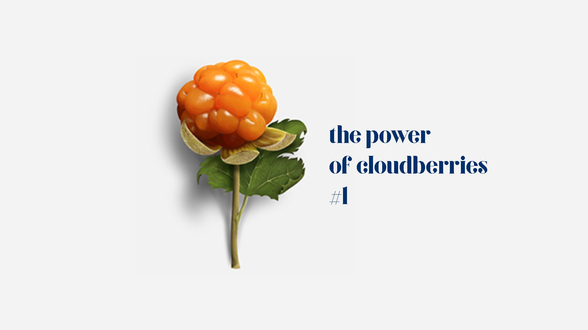 What is Cloudberry and why does your skin need it?