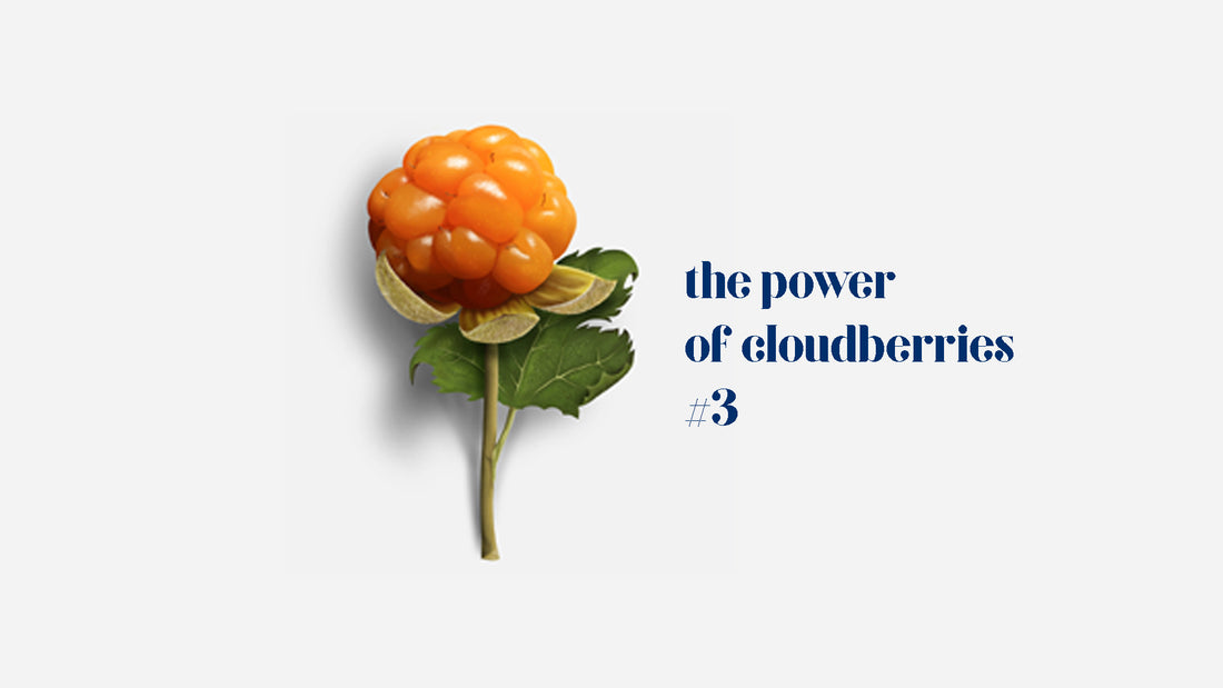 Go natural with cloudberry seed oil