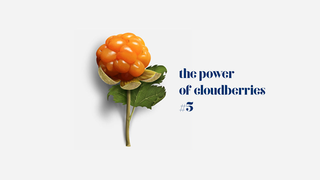 Scandinavian Gold: Foraging for Cloudberry